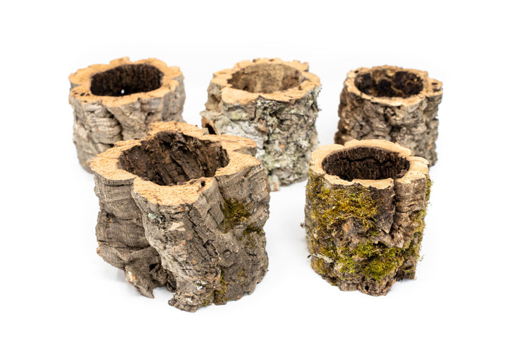 5 Natural Cork Bark Planters