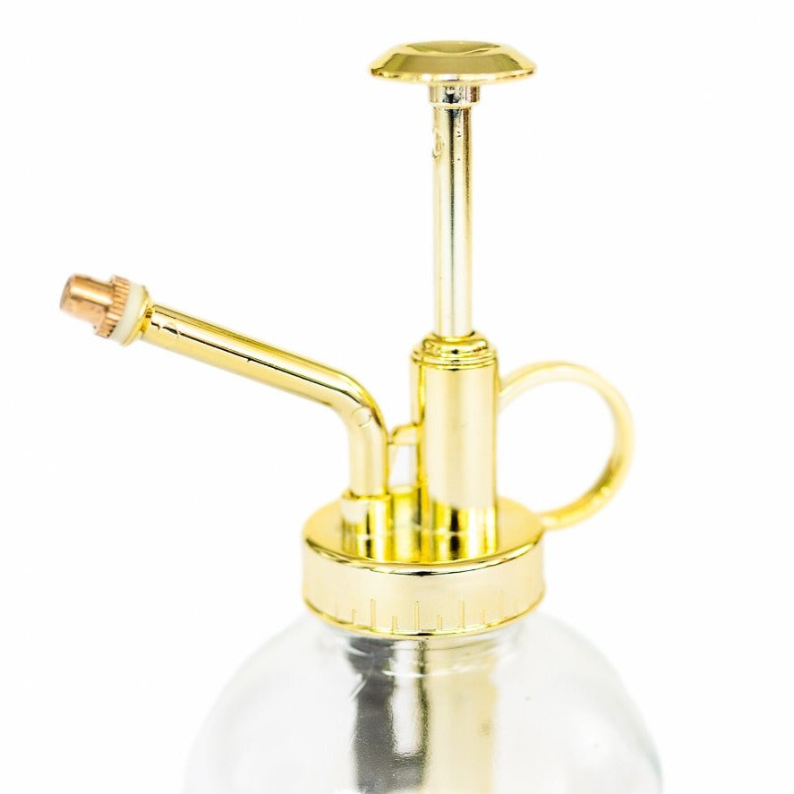 glass tillandsia air plant mister with gold colored pump spray nozzle